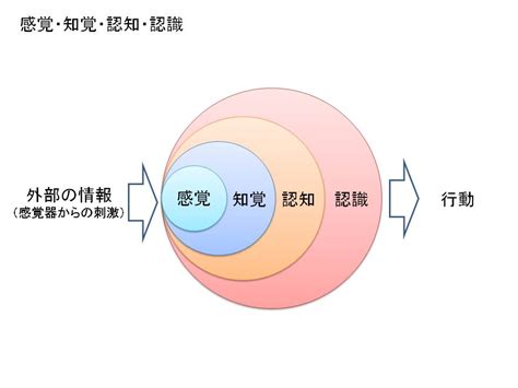 公領域私領域|社会学における私的領域と公的領域の違いは何ですか？